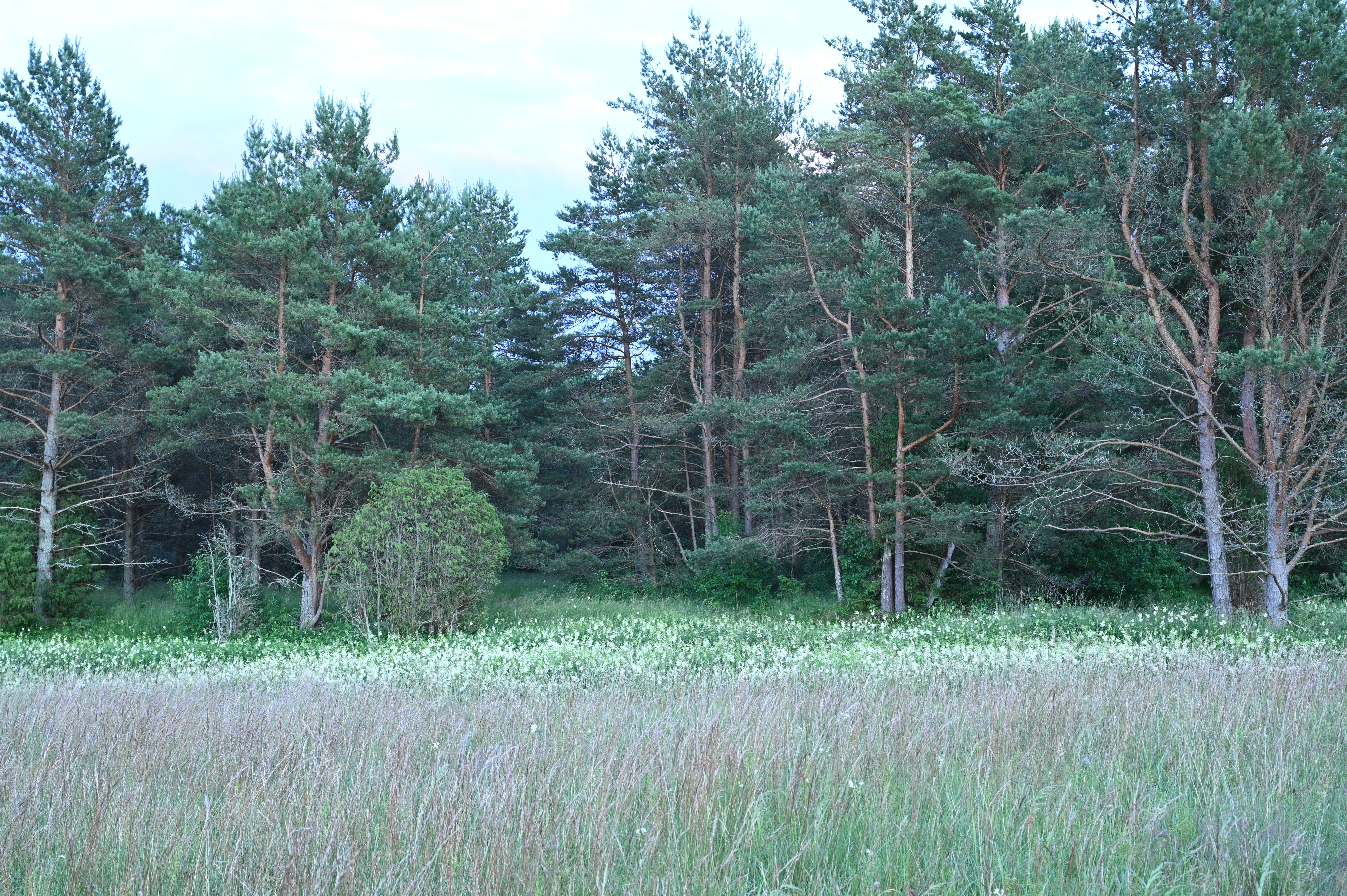 2025/07/09-14 - trip/DSC_0112.JPG